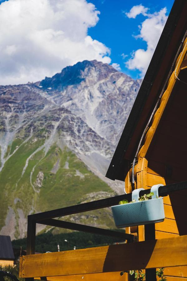 Kazbegi Folkアパートメント エクステリア 写真