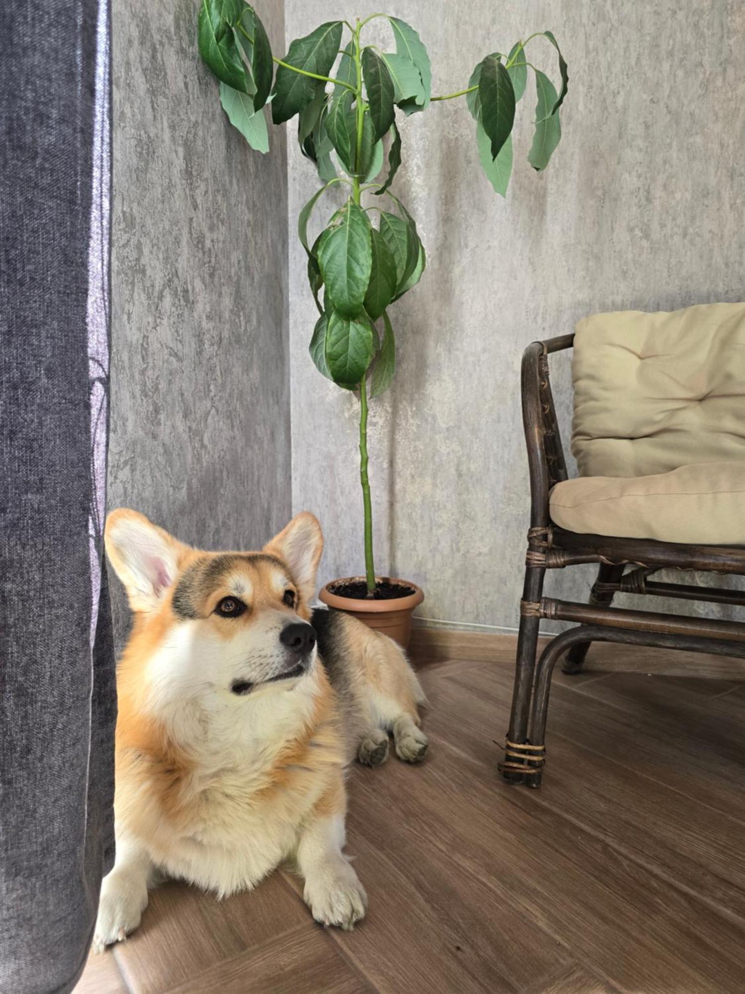 Kazbegi Folkアパートメント エクステリア 写真